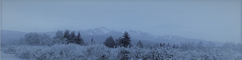 Vtan(�r�^��) �Y�_���e�p�E�_�[���T�C�g